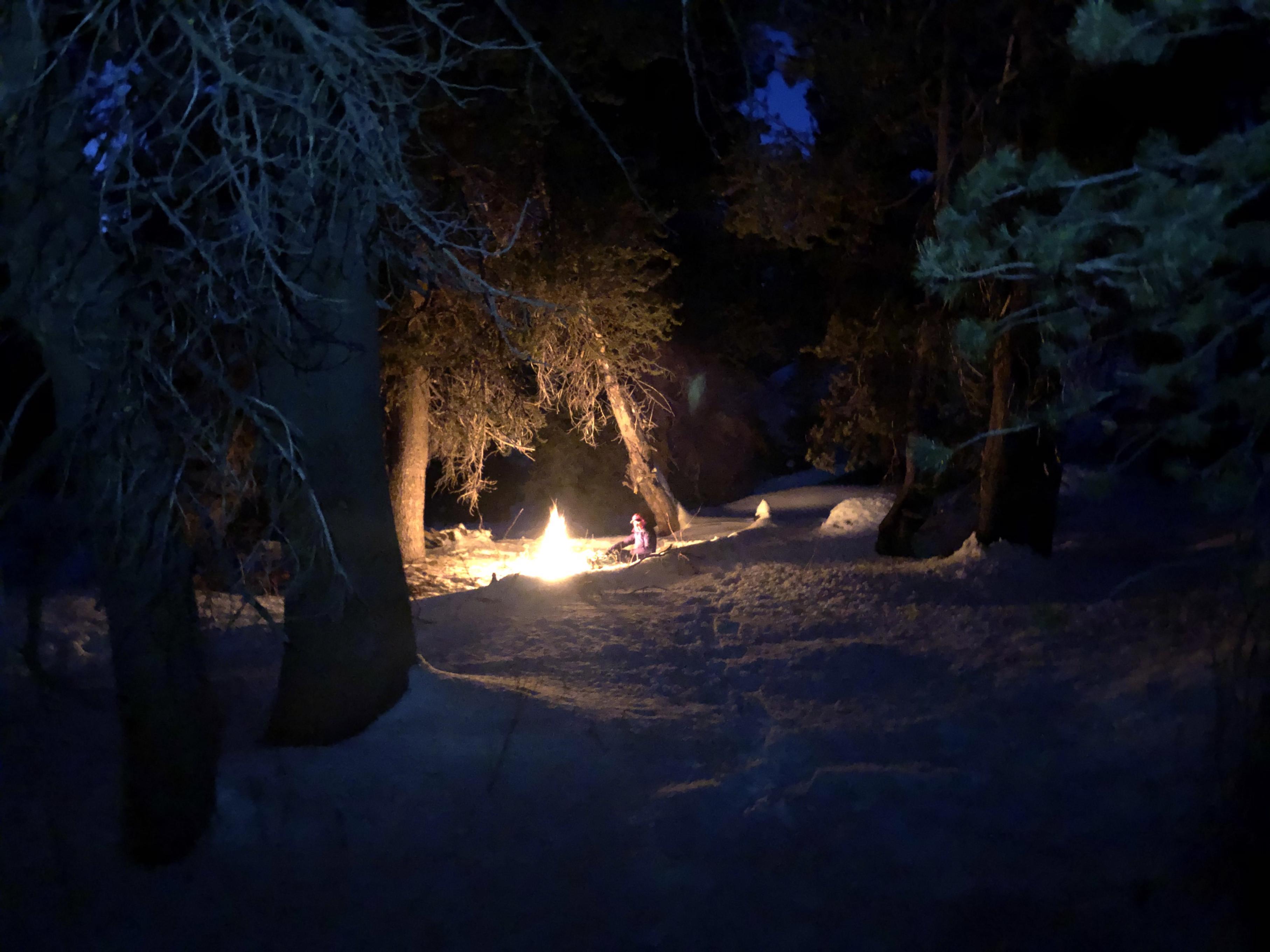 Campfire in Emigrant Wilderness