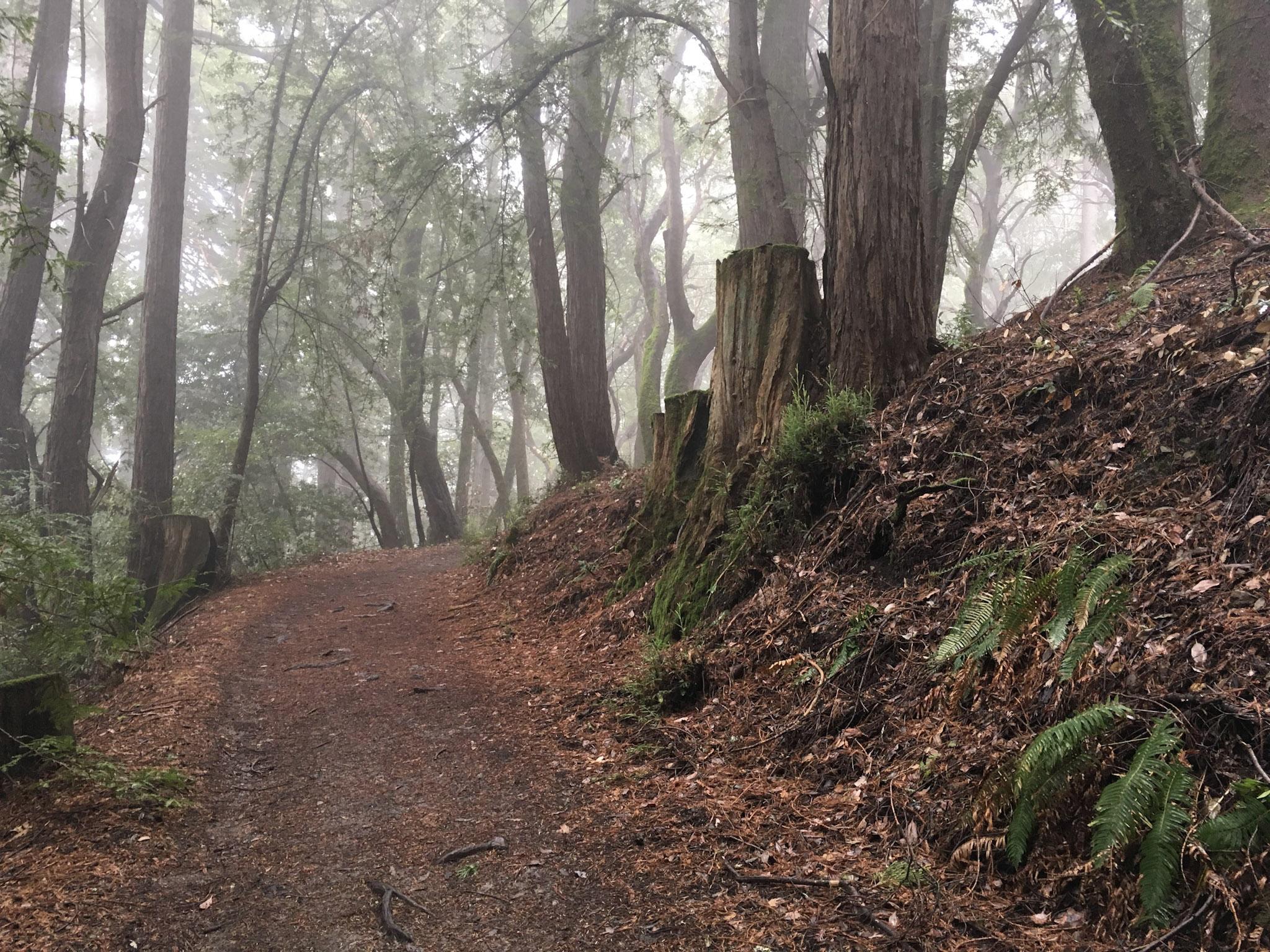 mid peninsula county park