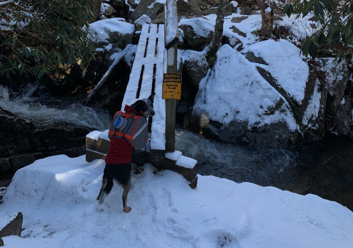 Lucy Grayson highlands