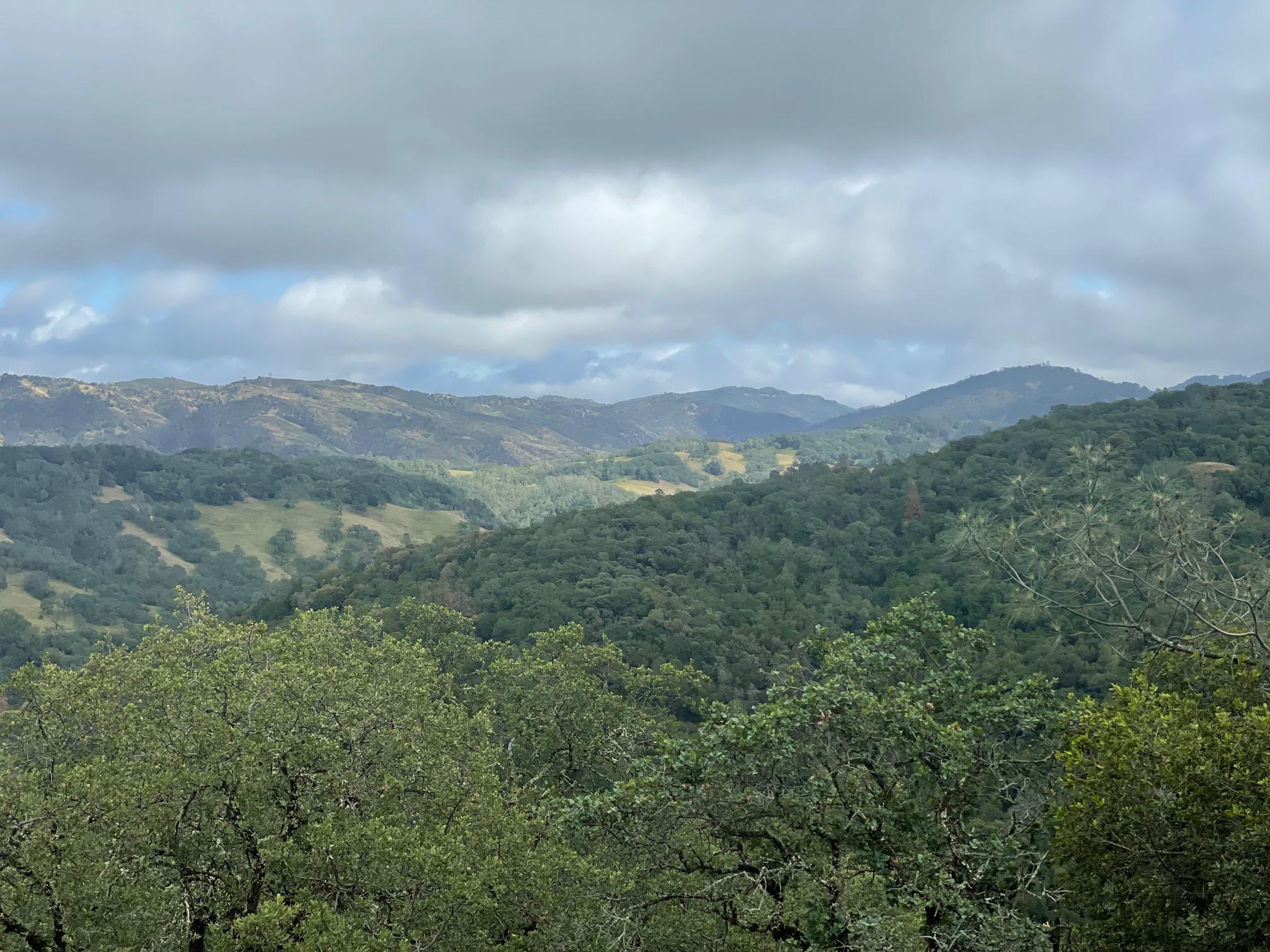 View from Manzanita Point