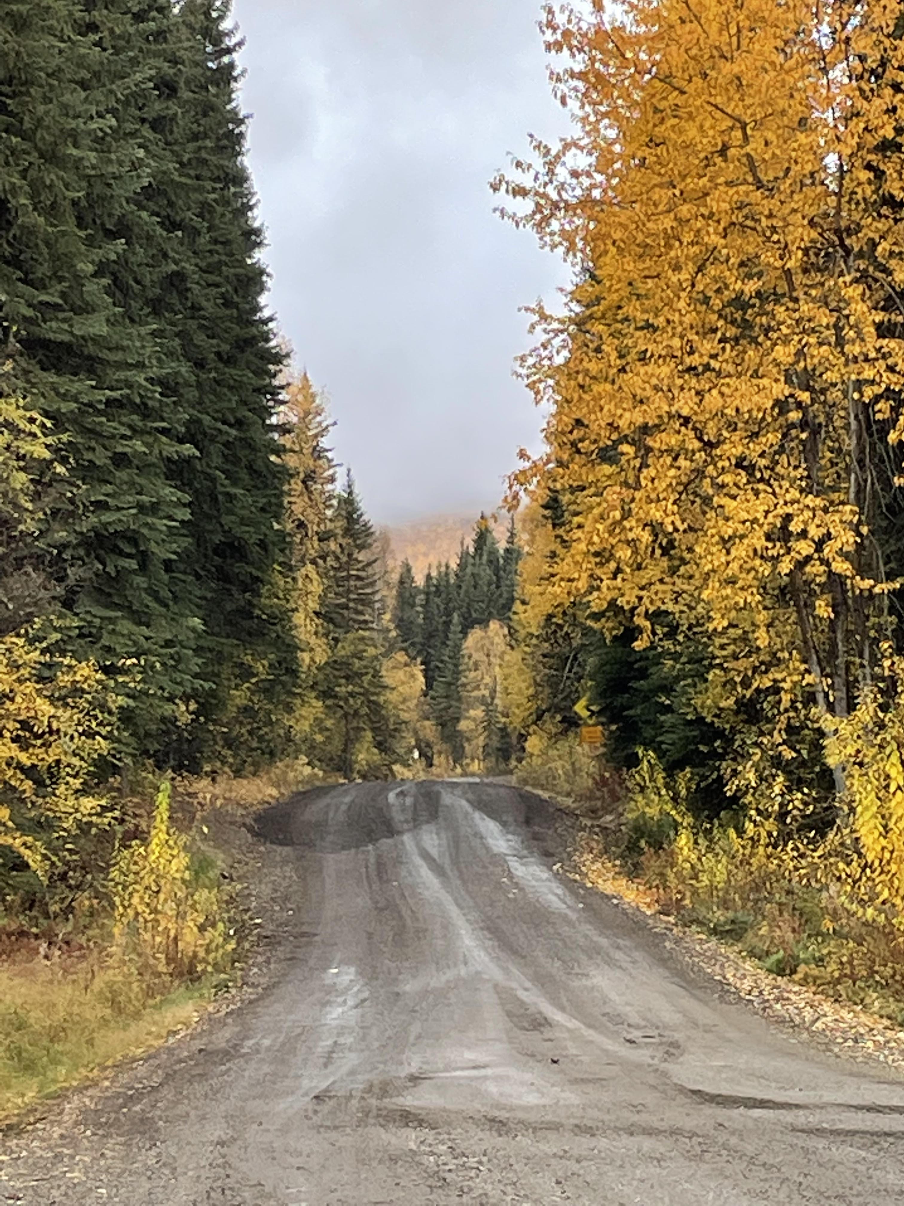 fall road