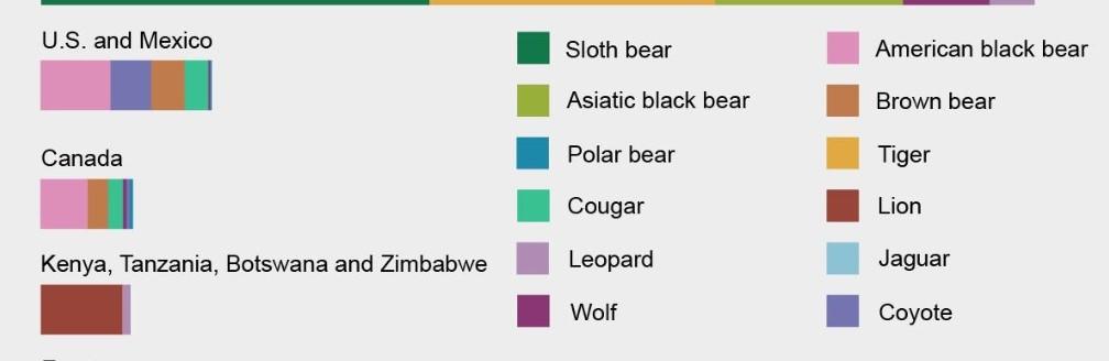 critter fatalities USA