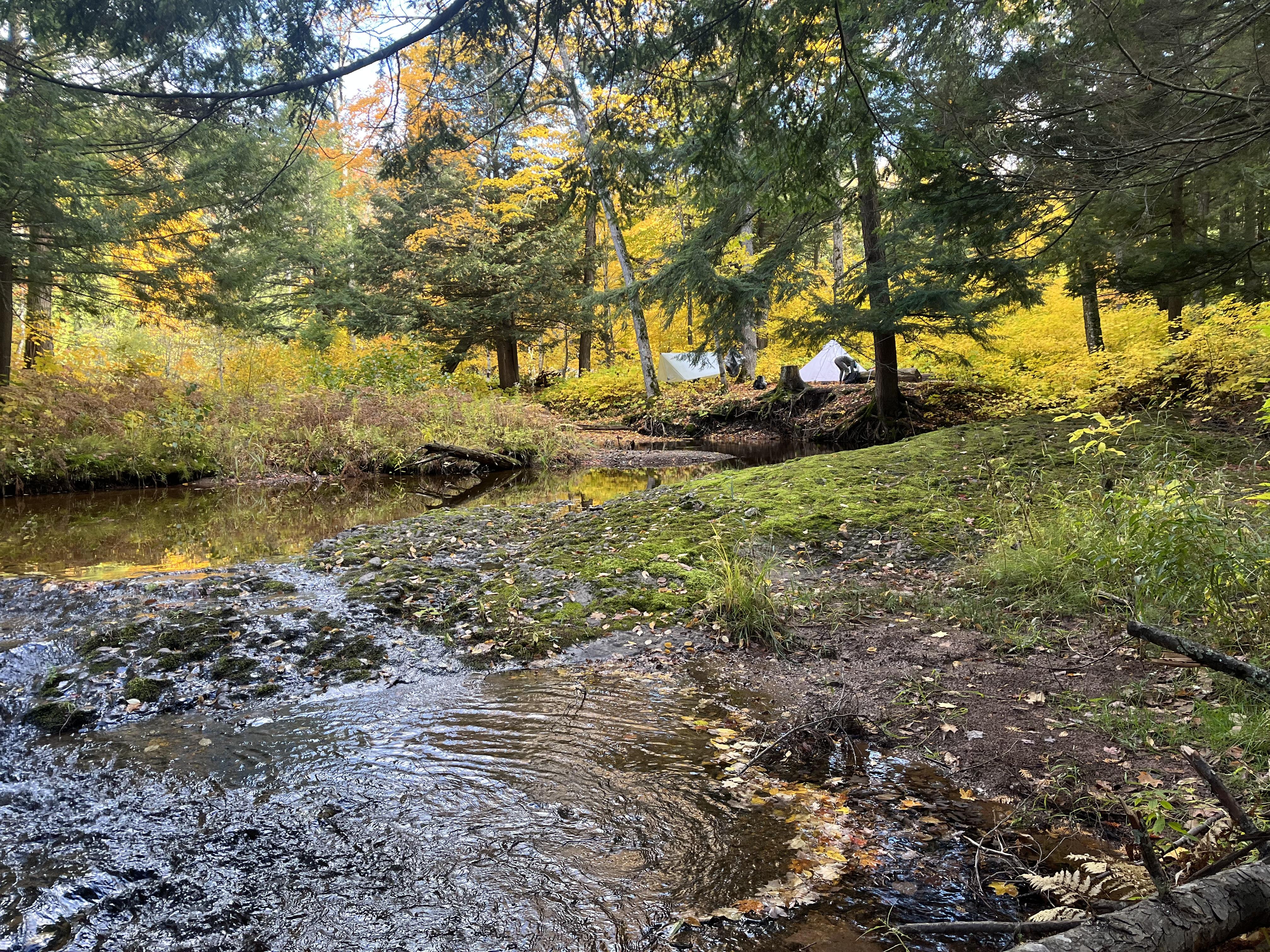 Ultamid in fall