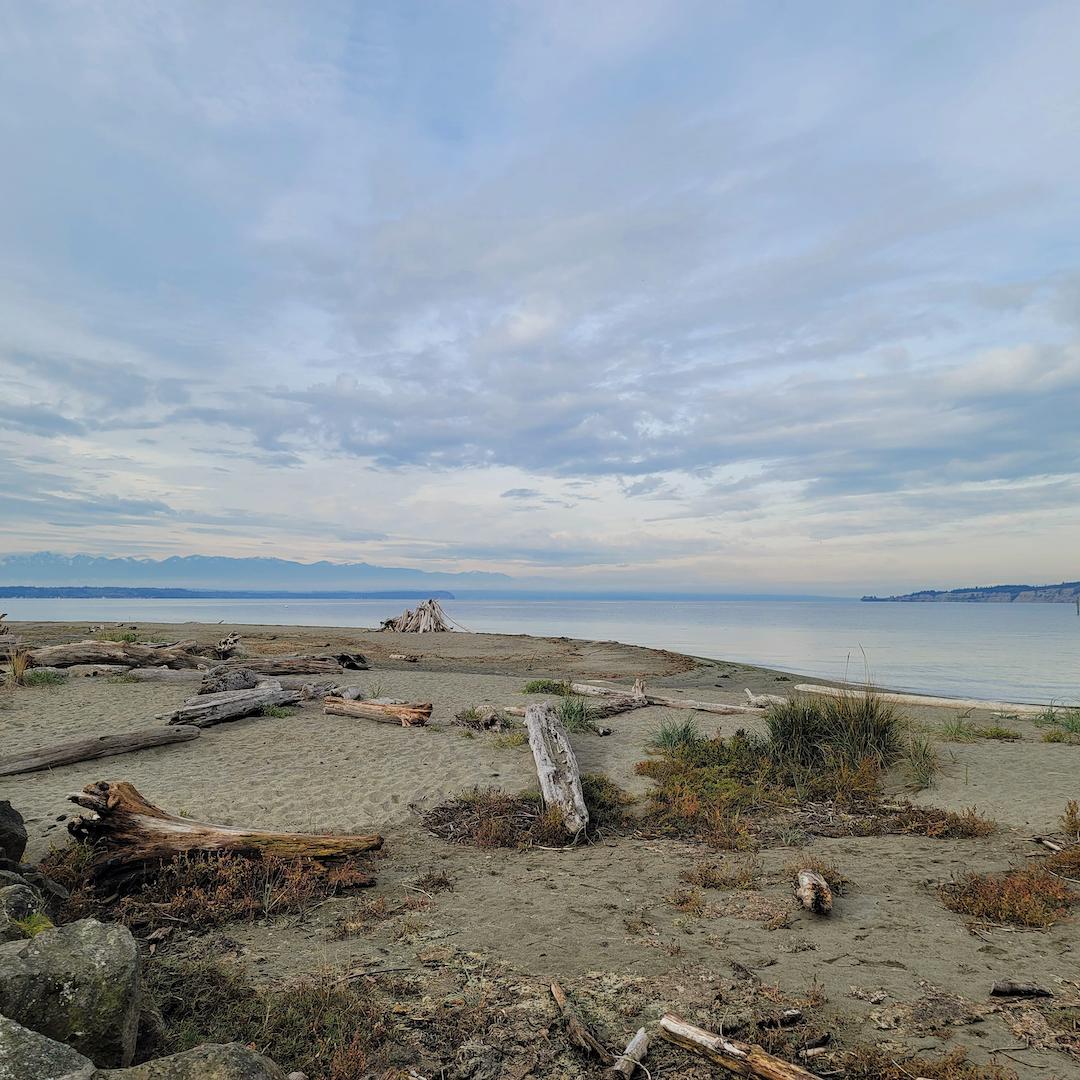 Beach on the Salish Sea