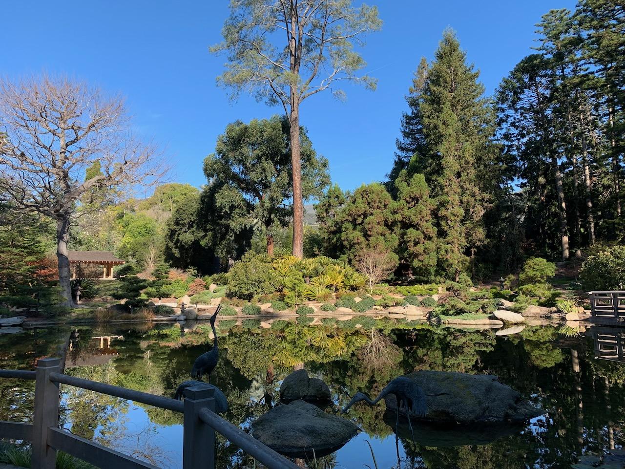 Lotusland Japanese garden