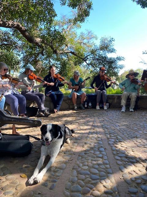 Jam in the park