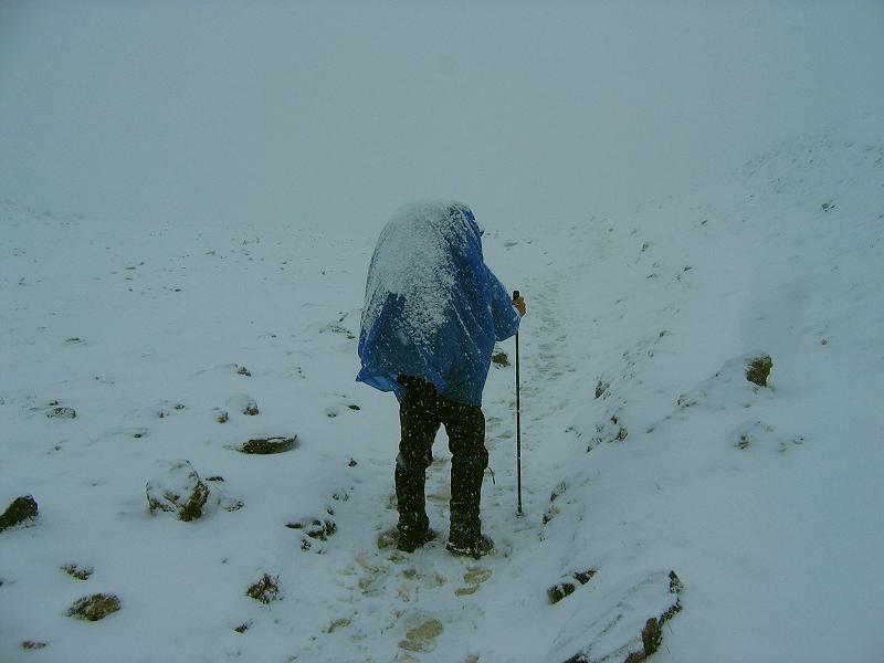 France, Mont Blanc region, SUMMER!