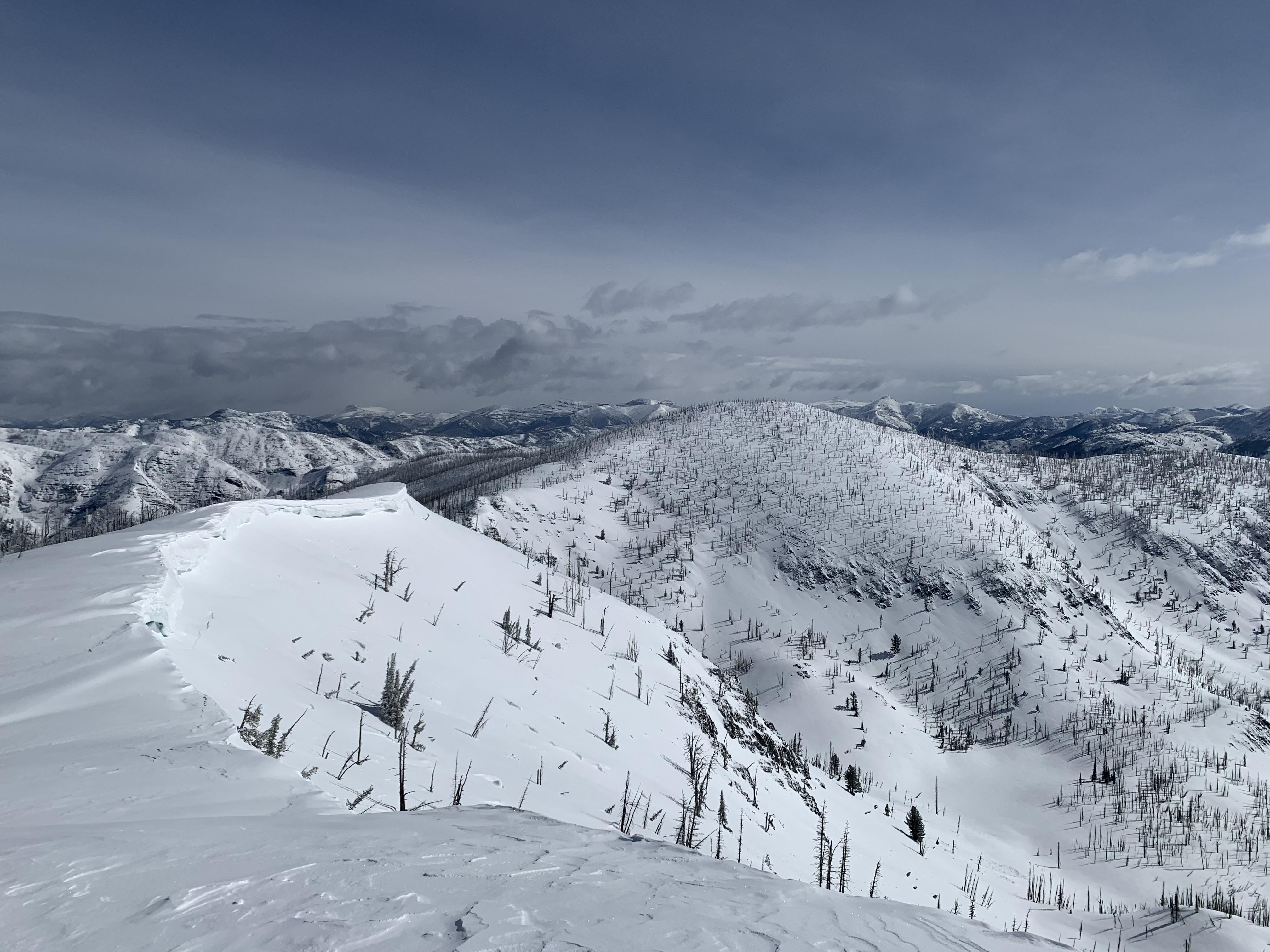 Spread Mtn - Looking N