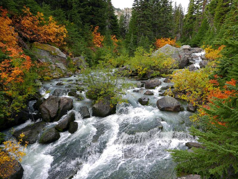 Fall colors on Railroad Creek