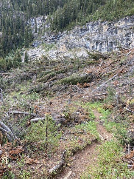 Blowdown